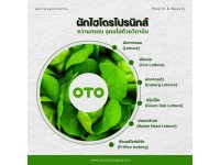 ผักไฮโดรโปรนิกส์ (hydroponics)