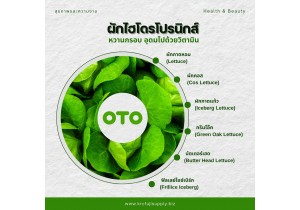 ผักไฮโดรโปรนิกส์ (hydroponics)