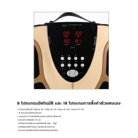 เครื่องกระตุ้นในการบำบัด OTO e-Physio Plus EY-900P