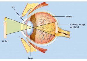 ข้อควรระวังในการนวดตาเพื่อรักษาโรค